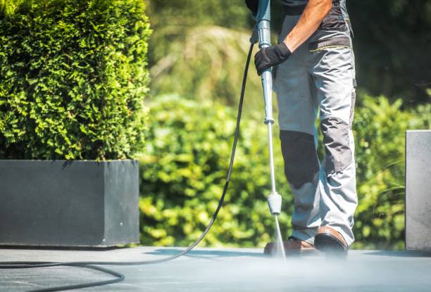 Best House Exterior Washing  in Park City, MT