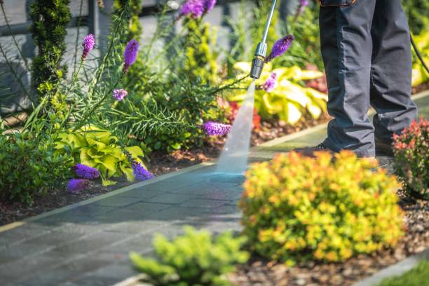 Best Boat and Dock Cleaning  in Park City, MT